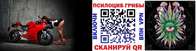 Псилоцибиновые грибы Cubensis  как найти закладки  маркетплейс формула  Новоуральск 